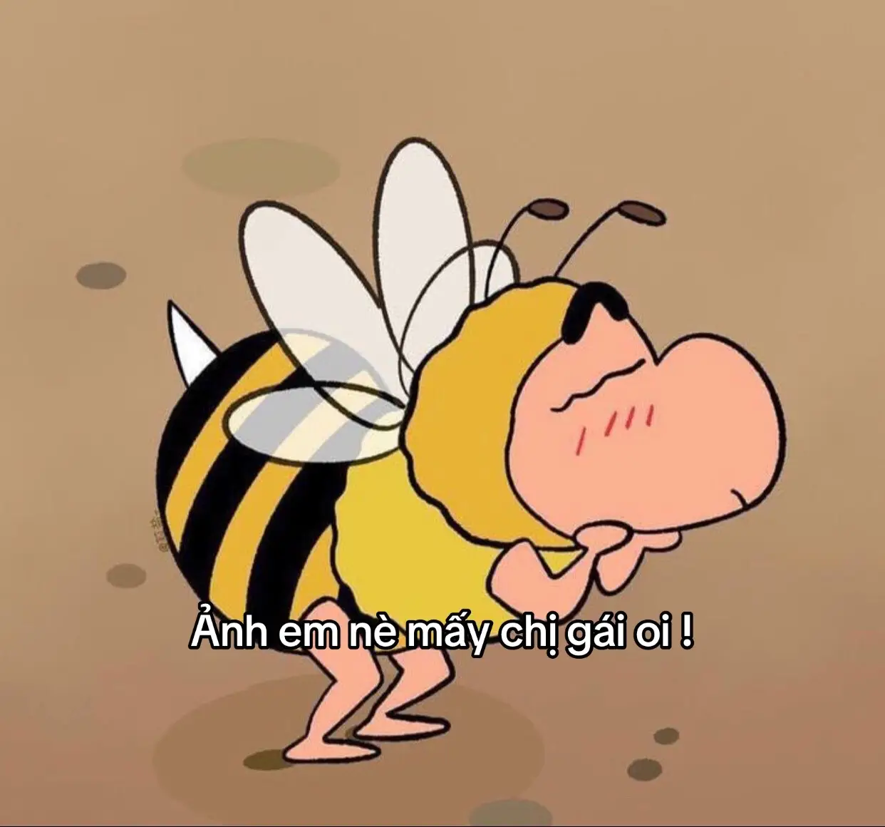 #shincaubebutchi❤️❤️ #nguoinhencuchuoi #lenxuhuong_tiktok #captionstory #meme #xuhuongtiktokk 