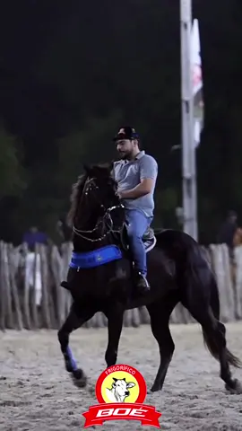 #StatusVaquejada #vaquejada #vaquejadaévaquejada #ForróVaquejada #VidaDeVaqueiro #CavalosMinhaPaixão 