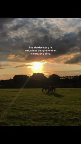 Mi paz🤍. #fyp #paratiiiiiiiiiiiiiiiiiiiiiiiiiiiiiii #parati #naturaleza #atardecer #campo #atardeceres #paz #parati #viralvideos #parati 
