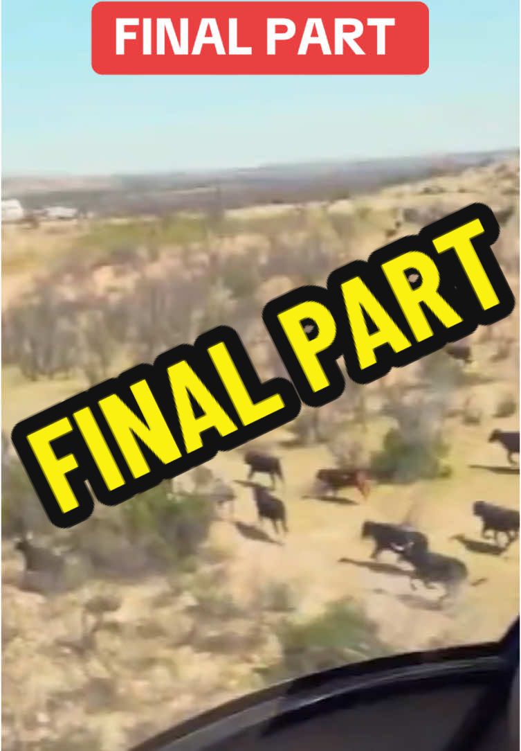 Final part of Ranching/Cowboy Jobs To Be Had