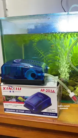 Dual Airpump for Aquariums | Aerator for Fish Tanks | Fish Tank Aerator #aerator #fishtank #airpumpforfish #fishkeeper #fishkeeping #fishkeepers 