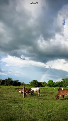 #paratiiiiiiiiiiiiiiiiiiiiiiiiiiiiiii #fyp #fypviralシ #paratii 