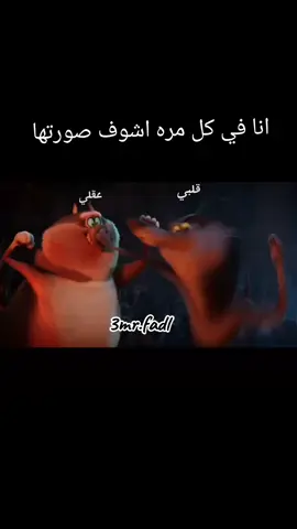 #السعودية #بنزيما_الحكومه #بنزيما #ahly_love #الاهلي_نادي_القرن #الاهلي_نادي_القرن #الاهلى_بطل_افريقيا #كاس_العالم #الامارات #السعودية #كورة #مصر #فلسطين_لبنان_سوريا_اليمن_مورتانيا #الاكسبلور🔥 #شعب_الصيني_ماله_حل😂😂 #ضحك #كوميديا #كوميدي #الاكس #جواز #ارتباط #حب #ex #رمضان #مسلسلات_رمضان 