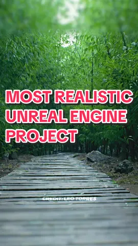 Full footage credit: Leo Torres #unrealengine #ue5 #graphics #realtimerendering #realisticgraphics #realism 