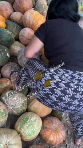 Aquí alimentan a los 🐷🐖 con 👉🎃 y como había bastante me traje una para hacer colada con  🥛👉😋#parati #parati #virals  #viralreelsfacebook #viralreelsシ #viralvideoシ #reelschallenge #reelsfbシ #reelsfacebook #reelsvideoシ #reelsviralシ #reels #gym #gymmotivation #gymrat #gymtime #ecuador #cute #beautiful #motivation #amorpropio #amor