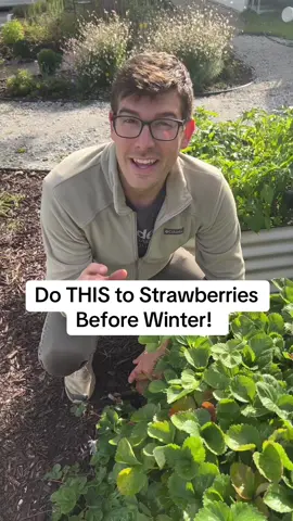Clip them before the snow flies! #gardening #garden #gardentok #gardening #gardentips #fyp #fypシ 