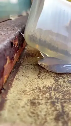 Super Glue - ဂျပန် နံပါတ် ၁ အကောင်းဆုံးရေစိုခံစေမဲ့ဖြေရှင်းမှု! 👍 #superglue #waterproof #လုံးဝကိုရေစိုခံခြင်း  #ရေစိုခံကော်  #အက်ကွဲကြောင်းတွေကိုဖာထေးပေးခြင်း #ရေညှိ၊ မှိုတို့ကို ကာကွယ်ပေးခြင်း #ရေစိမ့်ဝင်ခြင်း၊ ရေစိမ့်ခြင်းတို့ကို ကာကွယ်ပေးခြင်း