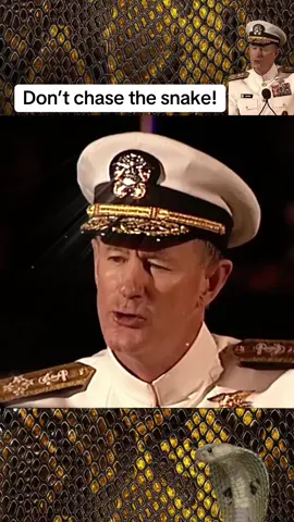 Don’t chase the snake! 🐍#motivation #motivationalspeech #LifeAdvice #personalgrowth #snake #admiralmcraven #inspiration #psychology #selflove #SelfCare 