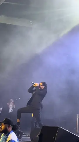 Hawa jastai❤️🫡@JohnChamling #johnrai #lgnite #concert #sydney #nepsydmusers 