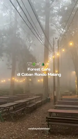 forest cafe di coban rondo malang🌲 #cafemalang #cafebatu #greenrockcafe #cobanrondomalang #forestcafe #campingmalang #cafemalanghits 