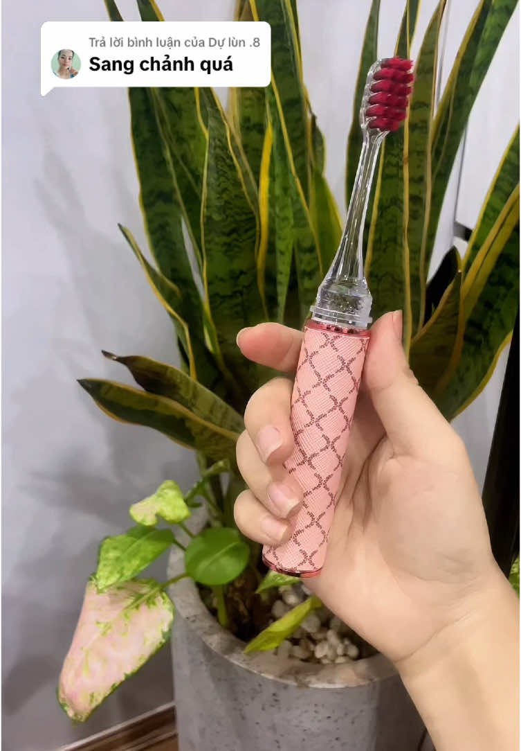 Trả lời @Dự lùn .8 Hộp 2 chiếc bàn chải sang chảnh hòng gia hình son môi nè#hop2banchaisonmoi #hop2banchaihoanggia #hop2banchaisangchanh #banchaisangchanh 