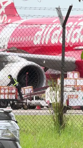 #seafood #mudcrab #tawau #ketam #airportkargo#tawausabahtiktok #seafoodmukbang 