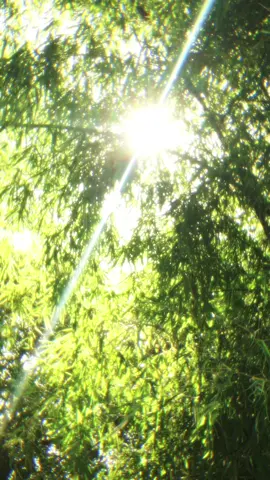 Nắng nhẹ nhàng... #summervibes #90smemories #chillvibes #xunghuong #tiktok #viral 