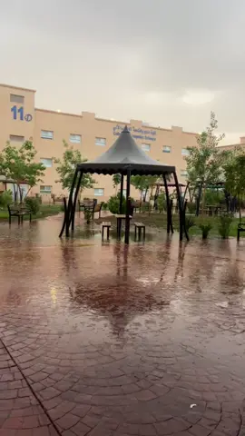 الله🥺🥺🥺🥺#حائل #جامعة_حائل #مطر 