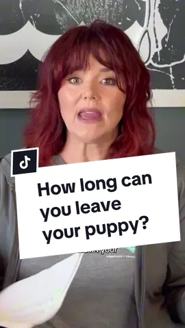 Leaving a new puppy alone for longer chunks of time is not ideal…..but sometimes there’s no way around it, especially if you’re working.  Creating a SAFE SPACE for them is number one. We prefer using a crate, but if you aren’t able to come home or have someone else let them out of crate so they can have the potty breaks and exercise they require during the daytime, you will need to create an alternative safe, secure space where they can go when you aren’t there.  #labpuppy #puppyschool #puppytraining #newpuppy #pottytraining #cratetraining #puppyhoodmadeeasy