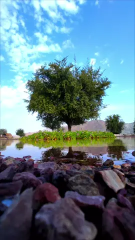 #foryoupage❤️❤️ #fyppppppppppppppppppppppp #explore #tiktok_india #tiktokviral #trendingvideo 