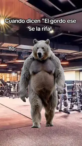 #CapCut  #gym #gordo #cuandodicen #oso #gymrats🐀💪 #gymmotivation 