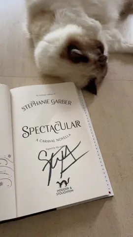 #waterstones #signedbooks #stephaniegarber #autographedbooks #cat #spectacular #caraval #onceuponabrokenheart #tellaandlegend #legend #scarlet #julien #caravalseries #books #BookTok #bookstagram #bookreview @Waterstones 