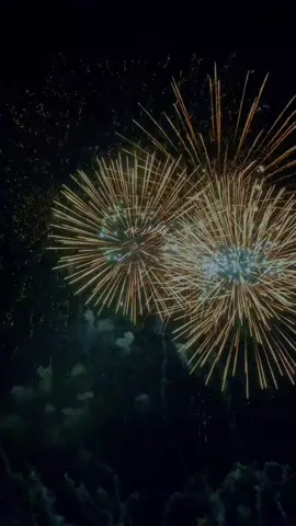 Advanced Happy Deepavali 😊 #fypシ #vie_edits #happydeepavali #2024 