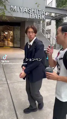 うん皇帝沈降