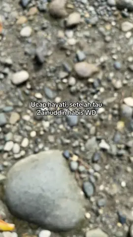 #zainuddin #viral #hayati #fyp #beranda 