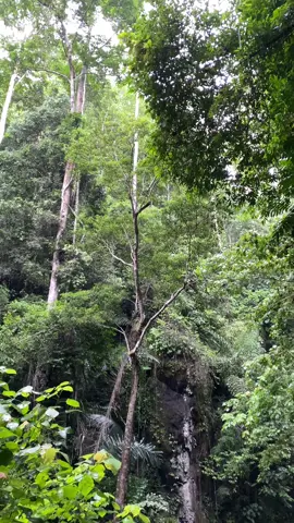 #fyp #buolpunya #syorytime 