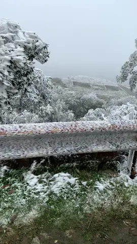 băng tuyết mẫu sơn quê tôi miss❄️#bangtuyet#mauson#langson 