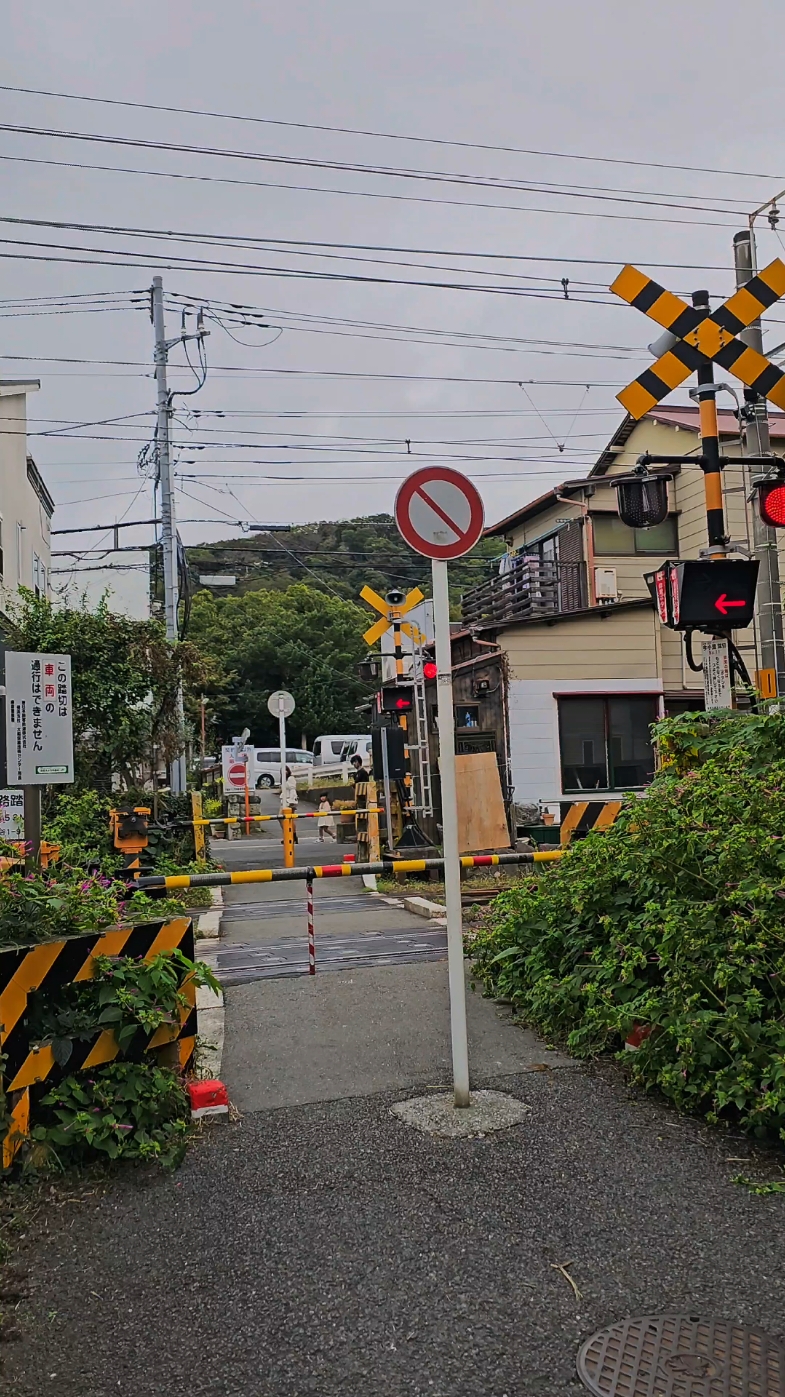 The truth hurts 🇯🇵 💁‍♂️ #japan #japantiktok #travel #bidet #japaneseculture #japantrip #traveljapan 