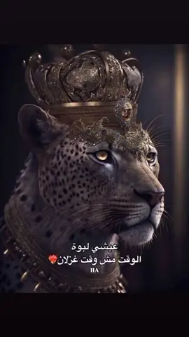 ولا شي #شخصيه #قويه #لايك #متابعه_اكسبلور❤ #فولو #سوريا_تركيا_العراق_السعودية_الكويت 