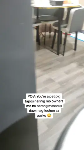 HAHAHAHA JOKE LANG, Jimbuuu 😂 #petpig #pet #potbellypig #piggy 