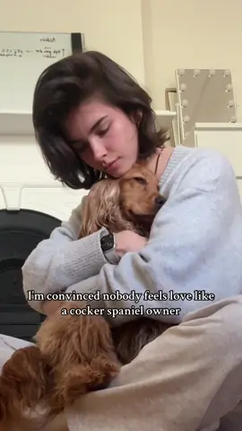 My everything 🥹 #cockerspaniel #englishcockerspaniel #cockerspanielowner #dogcuddles #cuddlydog 