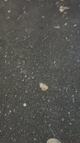 Team usung usung 😁🤲 #krodong_mania_indonesia #cantermaniaindonesia #drivermuda #storytruk #foryou #xyzbca #fyp #fypシ 