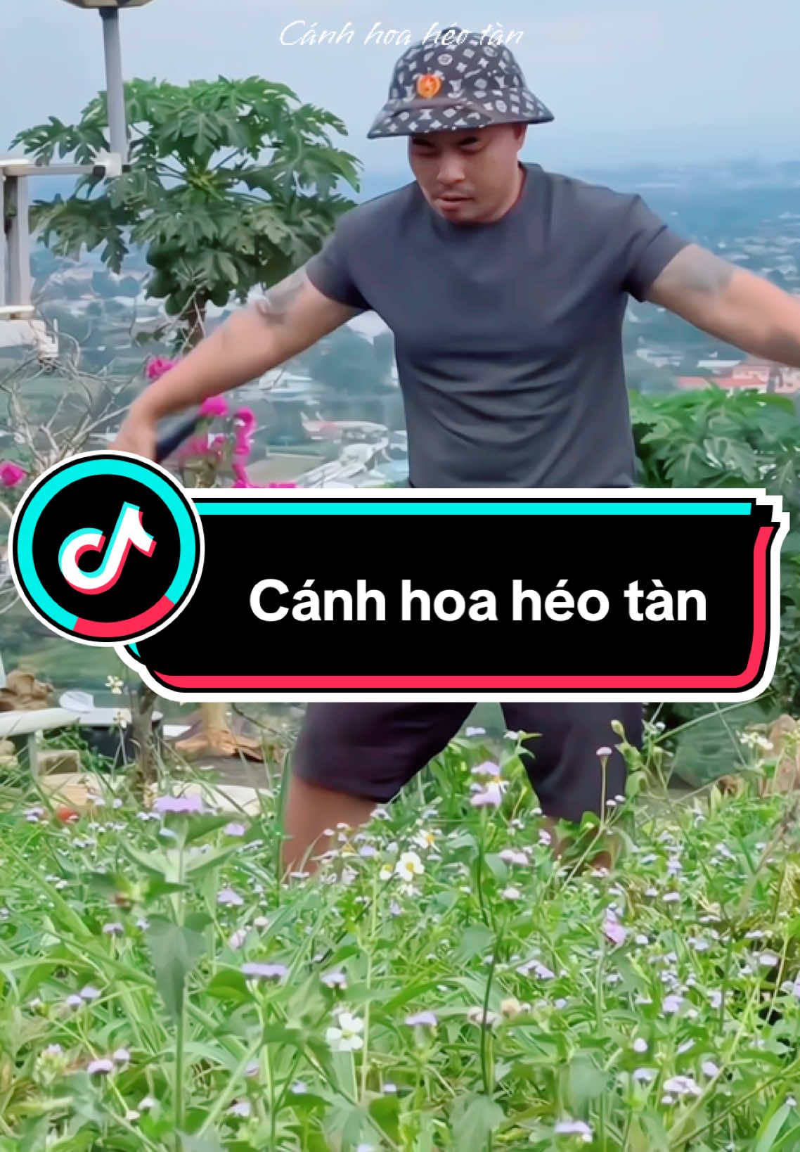 Cánh hoa héo tàn #mochi #trocem1123 #xuhuongtiktok #xuhuong #thinhhanh #giaitri 