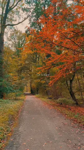 Gonna miss you October 🤎🧺 #girly #forthegirlies #autumngirl #autumnvibes #fall #CapCut 