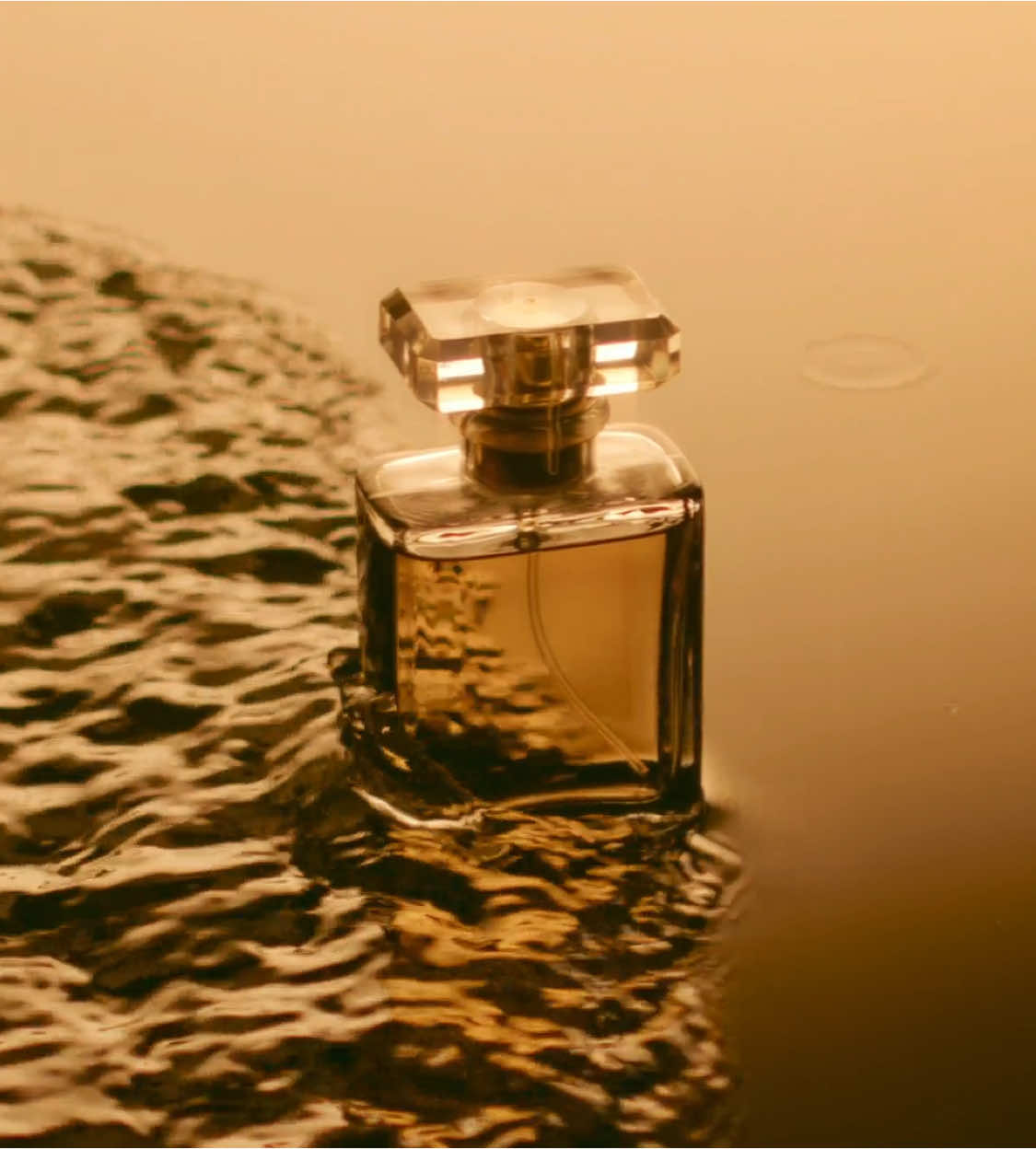 #parfum #cosmetics #commercial #gold #motioncontrol #nanlite #redcamera #fun #bestjobever #satisfyingvideo #fancy #elegant 