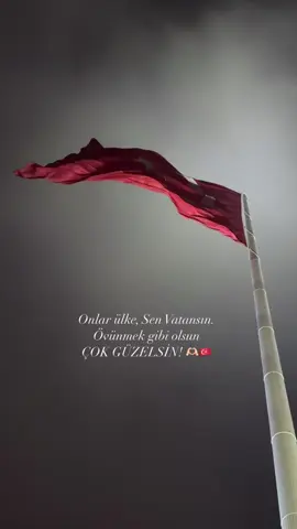 🫶🏻🇹🇷#keşfetbeniöneçıkar #fypシ゚viral #29ekimcumhuriyetbayramı #vatan #sevda 