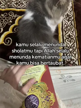 😞 #fypp #fyp #fypシ゚ #fypシ゚viral #qoutes #xybca #xyzabc #foryoupage #foryou #4upage #4u #4upageシ #islamic #beranda #masukberanda #berandafyp #katakata #arabic #islamicvideo #story #storywa #you #reminder #muslim #muslimtiktok #sadstory 