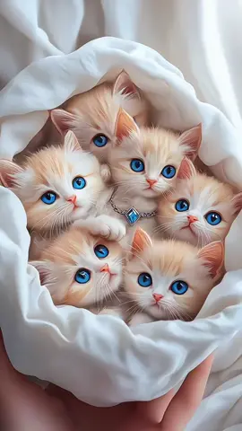 #AIPets #CuteAnimals #PetTok #VirtualPets #AnimalLovers #AIArt #PetVideos #FurryFriends #AnimalMagic #DigitalPets #PetCommunity #AdorablePets #CreativeAnimals #PetsOfTikTok #AnimalArt #PetLovers #FictionalPets #InstaPets #AIAnimation #PetLife #FunnyAnimals #PetsofInstagram #AnimalKingdom #CutenessOverload #AICreativity #PetSpotlight #Pawesome #PetChallenge #DigitalCreatures #WhimsicalAnimals @aianimalstv 