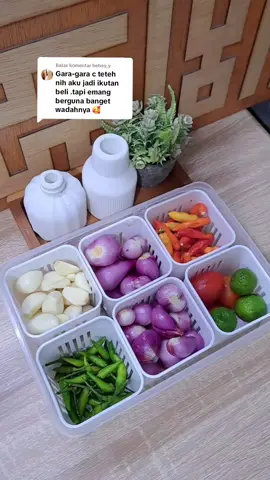 Membalas @bebey_y Wadah sekat 6 #wadahsekat #wadahpenyimpanankulkas 