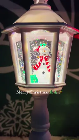 #christmas #christmaslight #snow #christmastrees #gift #dealdrops #party #decoration #partygift #nightlight #christmastiktok #spotlight #blackfriday 