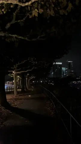 🇩🇪🌌#night #walk #nightwalk #autumn #frankfurtammain #frankfurt #ffm #hessen #deutschland #germany #frankfurtcity #main 