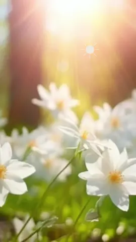 #CapCut #goodmorning #positivity 