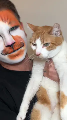 unique halloween idea: your own pet 😸 Gilbert is wondering why I made him so orange lol — I wanted more contrast and honestly I was lazy mixing his shade hahaha 🤪 #catmakeup #cat #halloweencat #makeuptutorial #machalloween #emeacreator @maccosmetics 