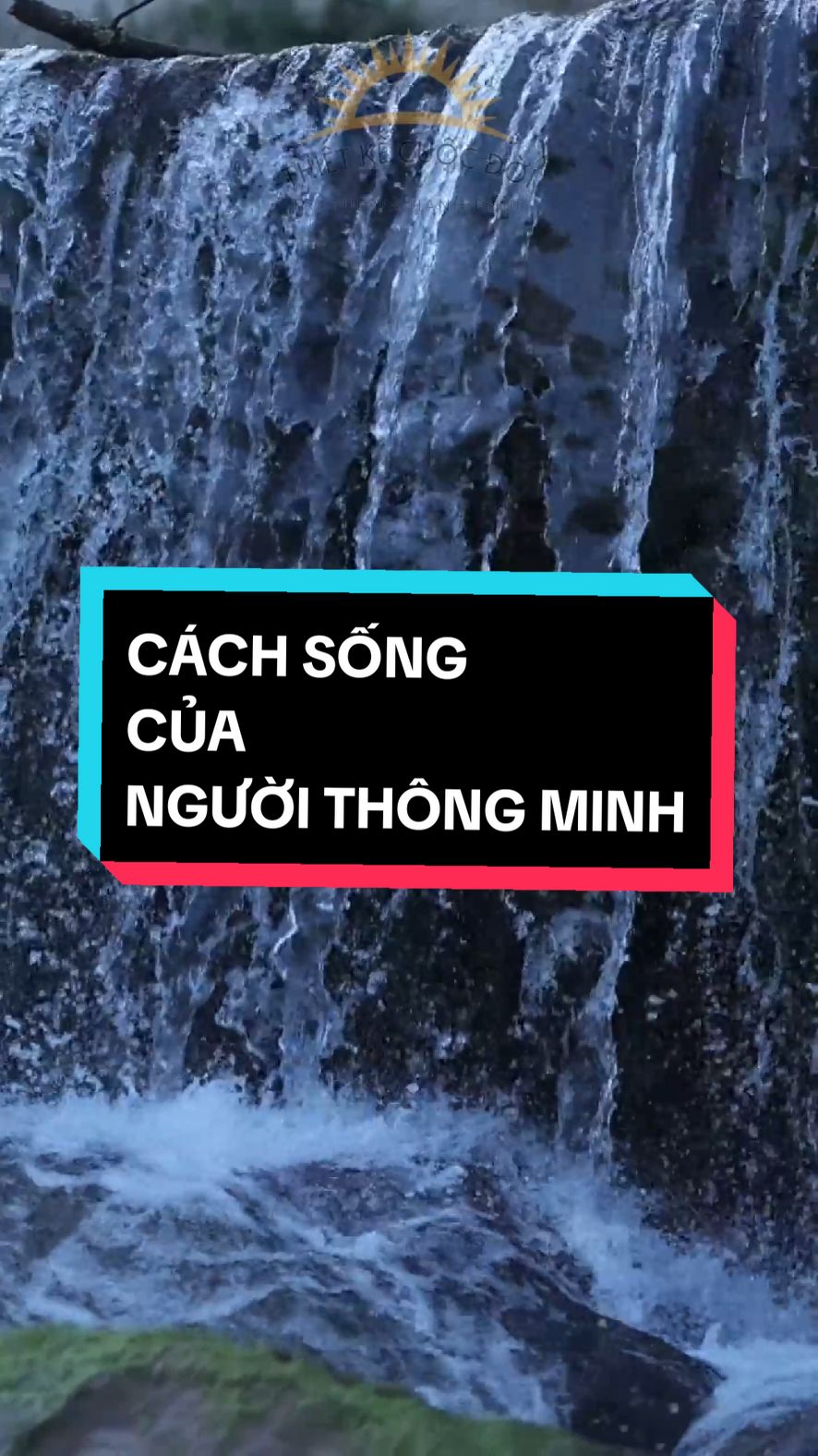Cách sống của người thông minh. #thietkecuocdoi #songdep #viralvideos 