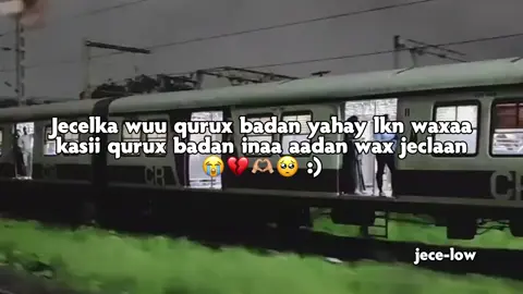 love Saar ❤️😭 #fypシ゚viral #foruyou #foryoupage #jeceelow #wll_haara4 #somalitiktok 