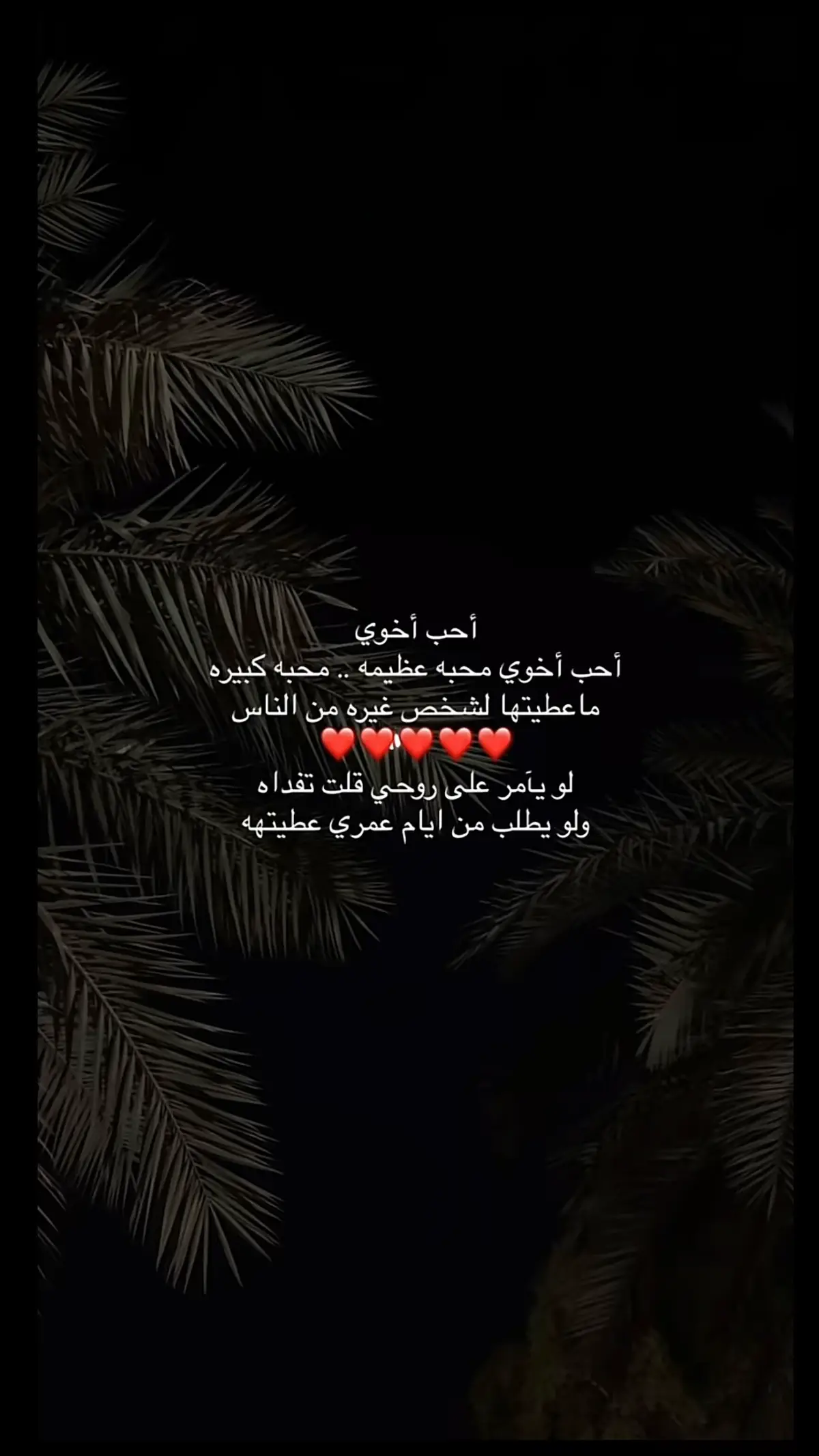 #اخوي #اخوي_الغالي #foryoupage #fypシ゚viral🖤tiktok☆♡🦋myvideomy #اكسبلورexplore #tiktok @# اكسبلور # 
