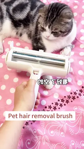 Families with cats must finish watching.#petbrush #pethairremoval #PetsOfTikTok #fyp #goodthing 