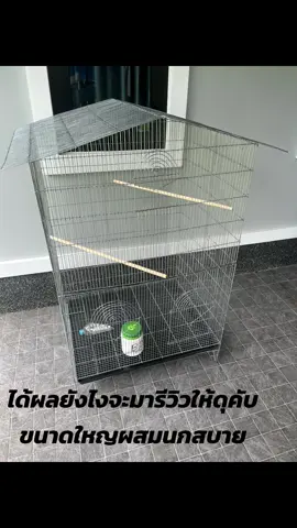 #กรงนกหัวจุก #กรงผสมนกหัวจุก #กรงนกหัวจุก #เพาะพันธุ์นกกรงหัวจุก 