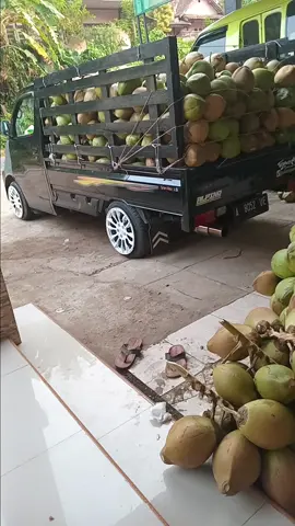 #tumbungmantaf😛 #jagoanmamih #drepermudapunyacerita #kelapabalap🌴🥥 #duganbalap #cengkir #fypシ゚viral #tiktokviral #kurirkelapamuda #kelapamuda #grnmaxindonesia #grnmaxpickup #drvermuda #banten 