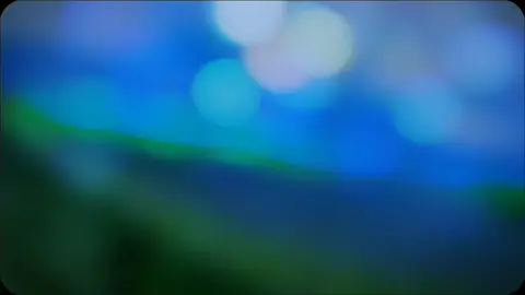 #CapCut 